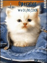 cats6161