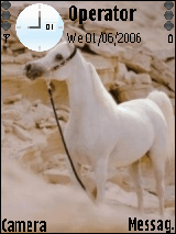 horse2