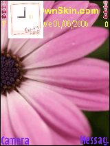 my flower