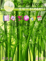 竹子