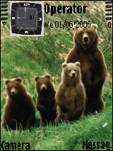 Natura Bear