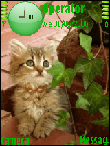 pgreen