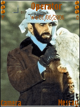 زايــــد