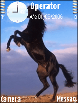 black horse