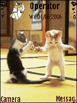 猛猫