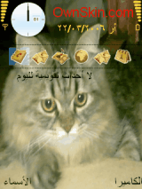 vitos my love cat