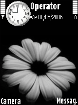FLOWER