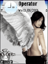 MY WINGS