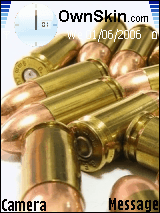THE SHINING COPPER BULETS