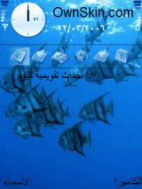 fish
