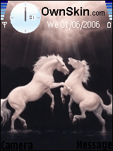 horse