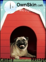Vodafone - Pug