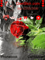 red rose