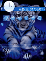 tiger