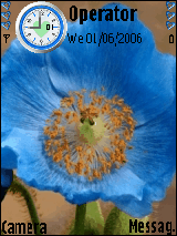 Flower blue