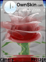 rose