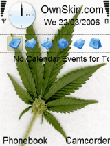 Marijuana