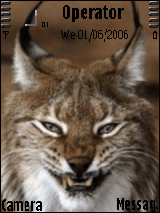 Siberian Lynx
