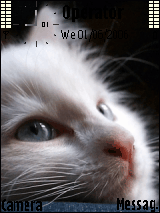 Kitty