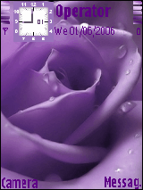 my violet