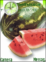 watermelon