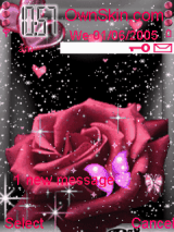 Love Rose Animat   