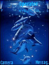 dolphin 海豚