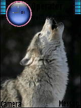 wolves