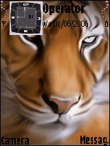 kk lion eyes