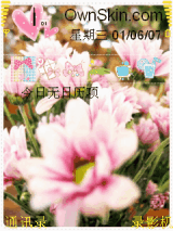 生如夏花2
