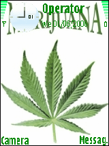 marijuana