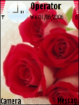 red rose