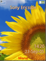 sunflower