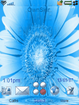 my gerbera