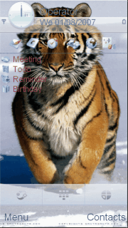 tiger