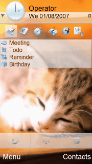 gato