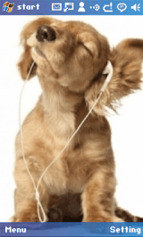 LOVE TO MUSIC