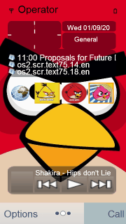 angry bird