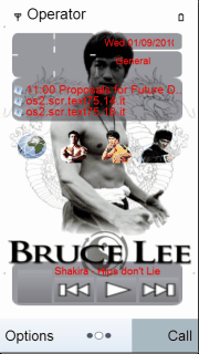 N8 BRUCE LEE THE DRAGON