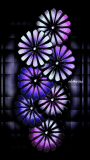 Animated colors flower