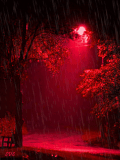 red raining