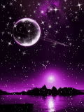 night
