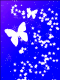 butterfly and star