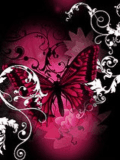 Dark_Pink_Butterfly