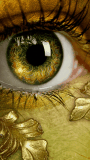 gold eye