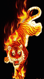 TIGER FIRE ANIMATED