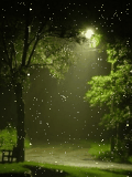 Rainy_Night_Animated