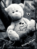 alone_teddy
